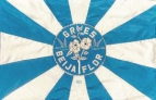 G.R.E.S. Beija-Flor de Nilópolis (RJ)